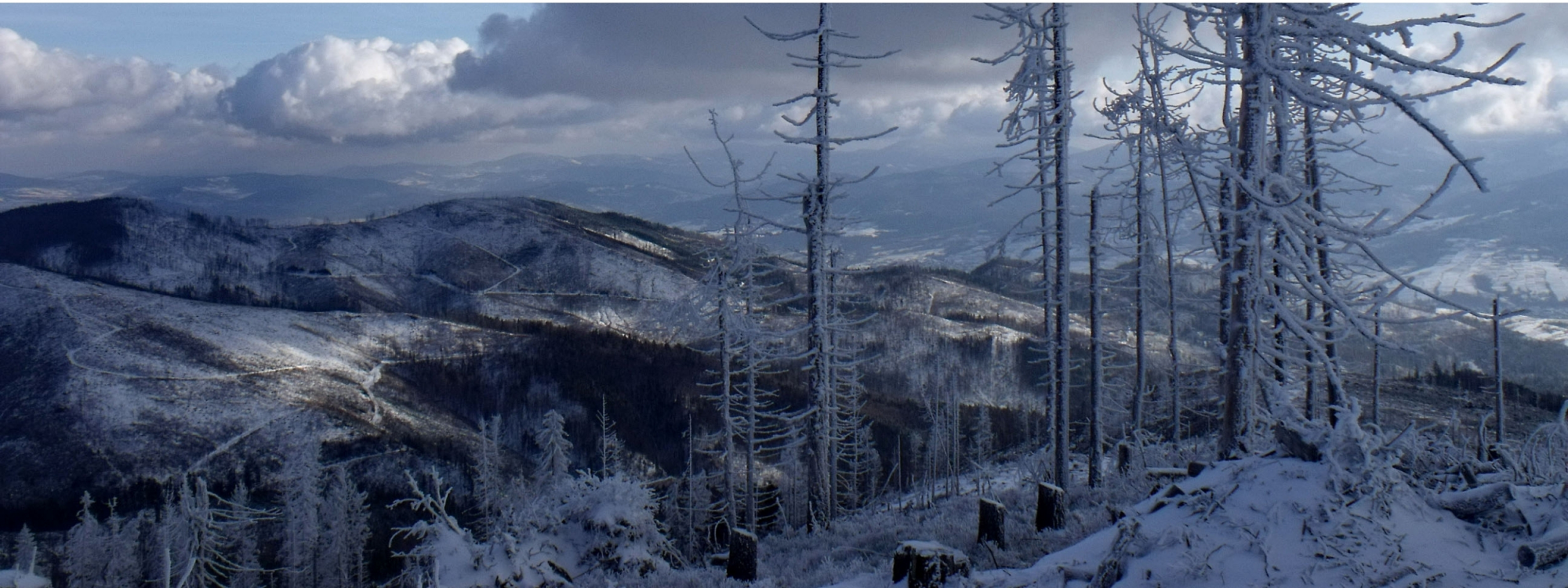 Park Krajobrazowy Beskidu Śląskiego